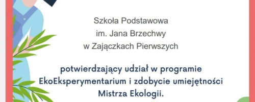 LEKCJA W RAMACH PROJEKTU EKOEXPERYMENTARIUM