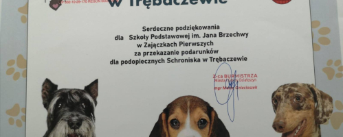 ZBIÓRKA KARMY DLA SCHRONISKA W TRĘBACZEWIE