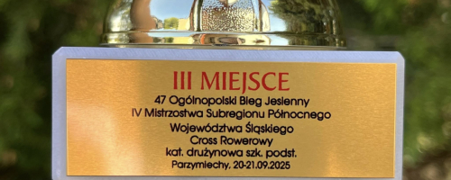 IV MISTRZOSTWA SUBREGIONU W CROSSIE ROWEROWYM