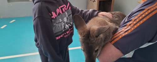 NIESAMOWITA LEKCJA BIOLOGII